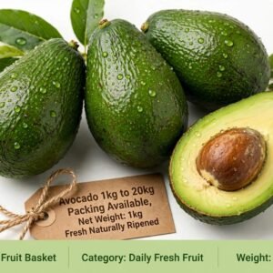 Avocado